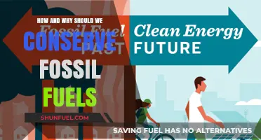 Preserving Fossil Fuels: Our Future Depends on It