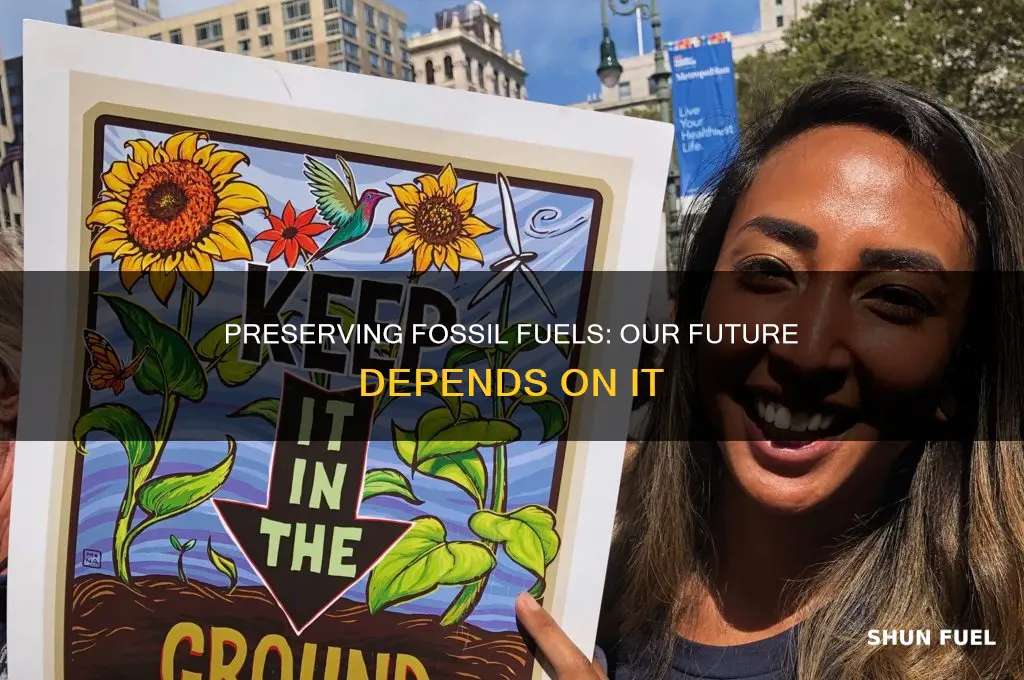 how and why should we conserve fossil fuels