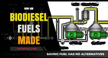 Understanding the Production Process of Biodiesel Fuels: A Comprehensive Guide