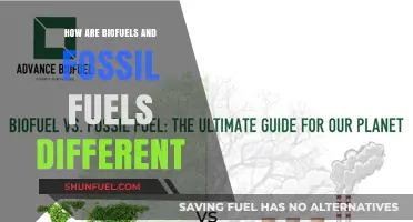 Biofuels vs Fossil Fuels: Energy Sources Compared