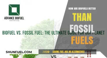 Biofuels: A Greener, Sustainable Energy Alternative