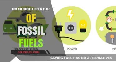 The Future of Biofuels: Powering Our World
