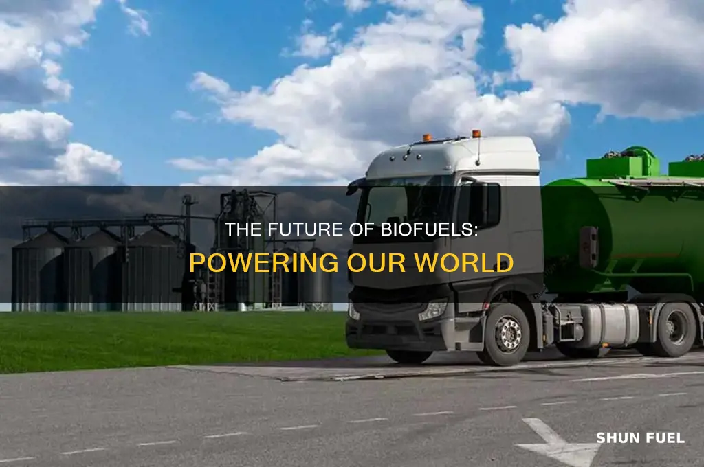 how are biofuels used in place of fossil fuels