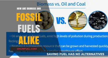 Biomass and Fossil Fuels: Energy Sources Compared