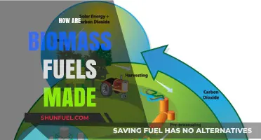 Understanding Biomass Fuel Production: A Step-by-Step Manufacturing Process