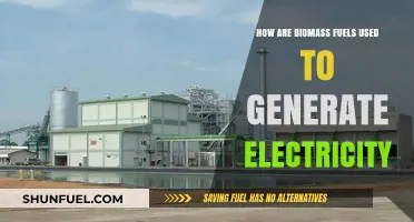 Harnessing Biomass Fuels: Sustainable Electricity Generation Explained