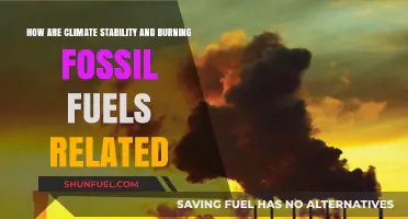Climate Stability: Fossil Fuels' Impact