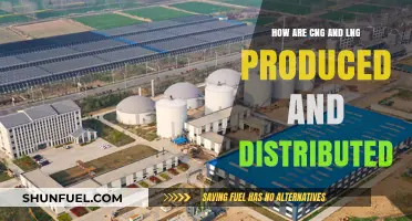 Exploring the Production and Distribution of CNG and LNG