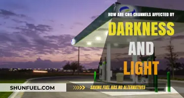 Illuminating Insights: How Darkness and Light Influence CNG Channels