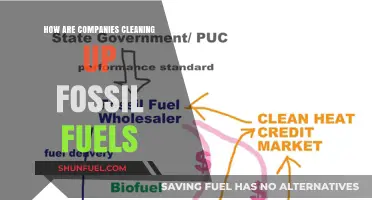 Cleaning Fossil Fuels: Innovations in Carbon Capture