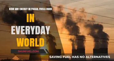 Fossil Fuels: Powering Our World, Energy Explained