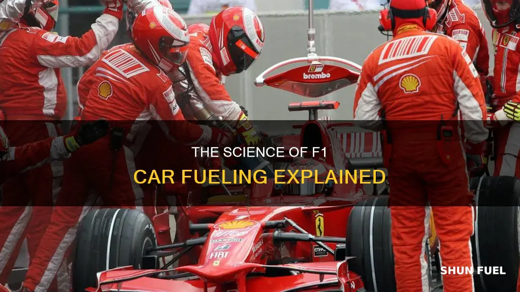 how are f1 cars fueled