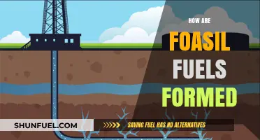 The Ancient Process: How Fossil Fuels Are Formed Over Millennia