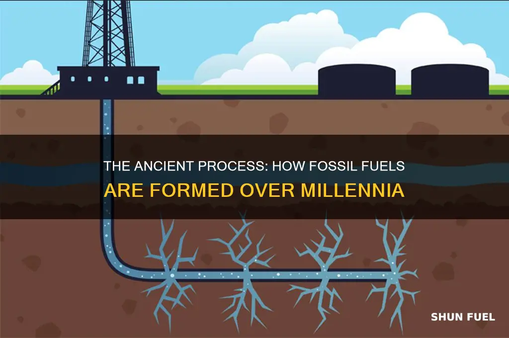 how are foasil fuels formed