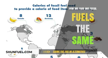 Food and Fossil Fuels: Burning Our Resources
