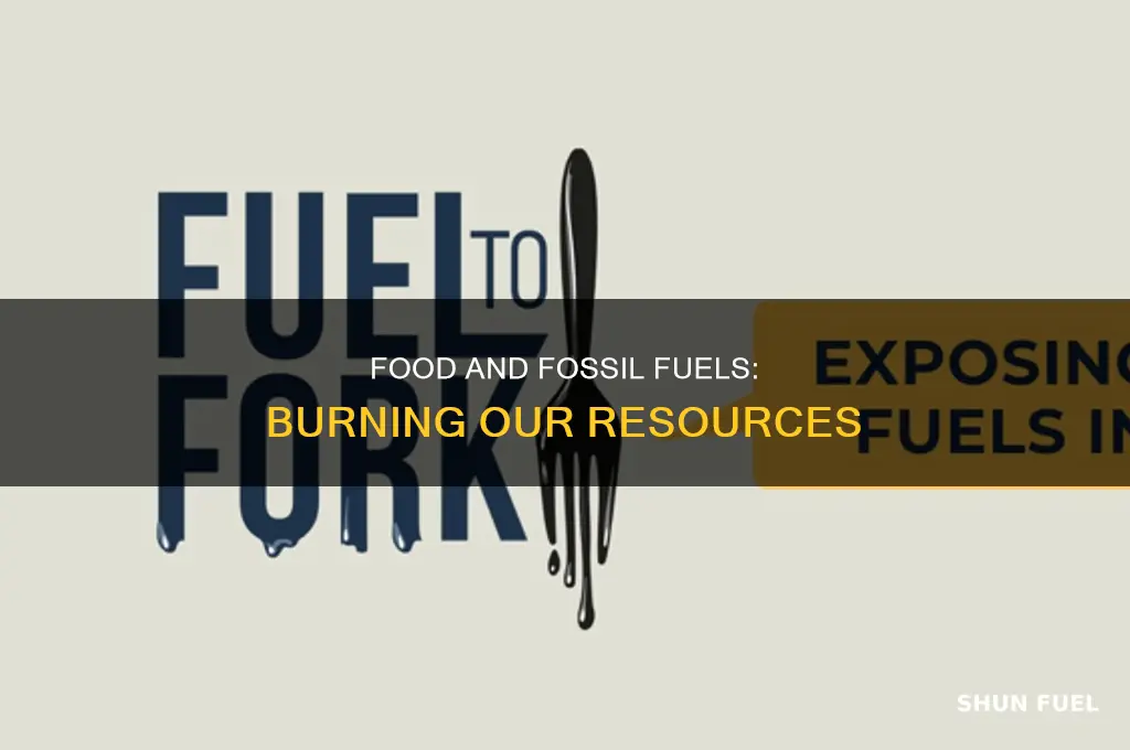 how are food and fossil fuels the same