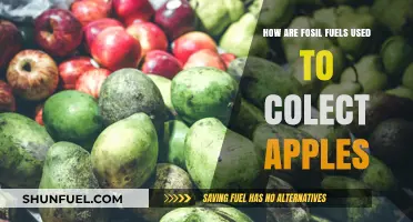 Fossil Fuels' Role in Apple Harvesting: An Unexpected Connection