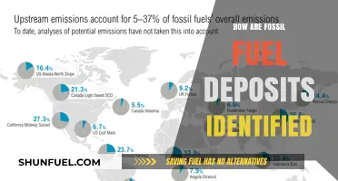 Where to Find Fossil Fuels: Locating Deposits