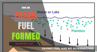 The Formation of Fossil Fuels: A Historical Perspective