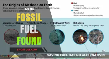 Unearthing Fossil Fuels: The Discovery Process