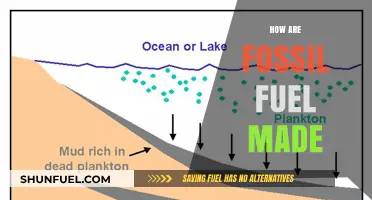 The Making of Fossil Fuels: A Historical Perspective