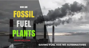 Fossil Fuel Plants: A Dangerous Legacy