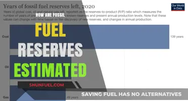 Estimating Fossil Fuel Reserves: Methods and Challenges