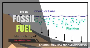 The Dark Side of Fossil Fuels