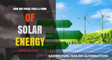 Fossil Fuels: Ancient Sunlight Powers Our World