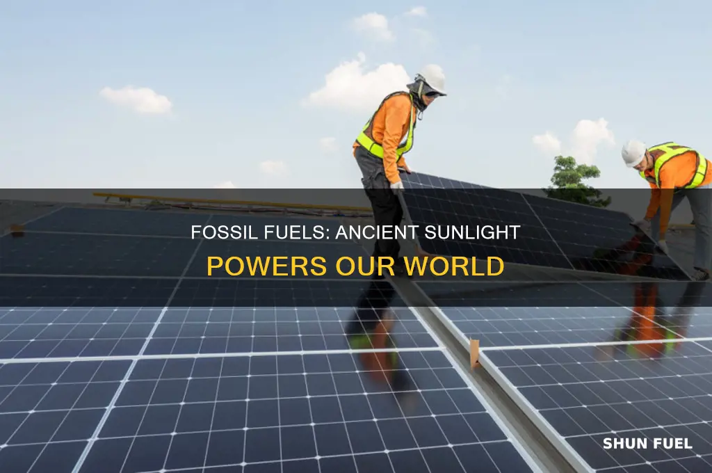 how are fossil fuels a form of solar energy
