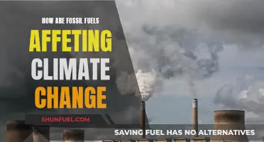 Fossil Fuels' Impact on Climate Change: What's the Deal?