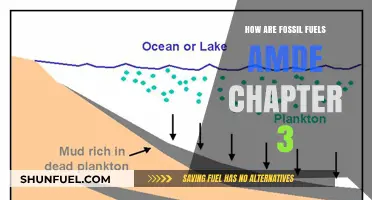 The Evolution of Fossil Fuels: A Historical Perspective