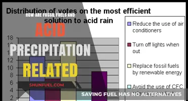 Fossil Fuels and Acid Rain: What's the Link?