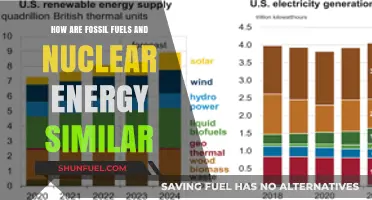 Fossil Fuels and Nuclear Energy: Similarities in Power Generation