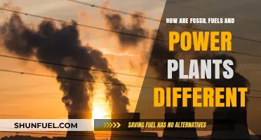 Fossil Fuels vs Power Plants: What's the Difference?