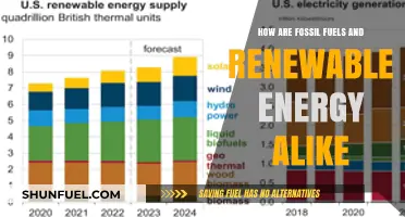 Fossil Fuels vs. Renewable Energy: What's the Common Ground?