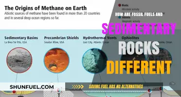 Fossil Fuels: Energy vs Sedimentary Rocks