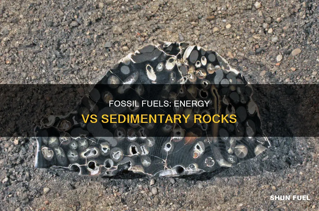how are fossil fuels and sedimentary rocks different
