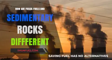 Fossil Fuels vs Sedimentary Rocks: What's the Difference?