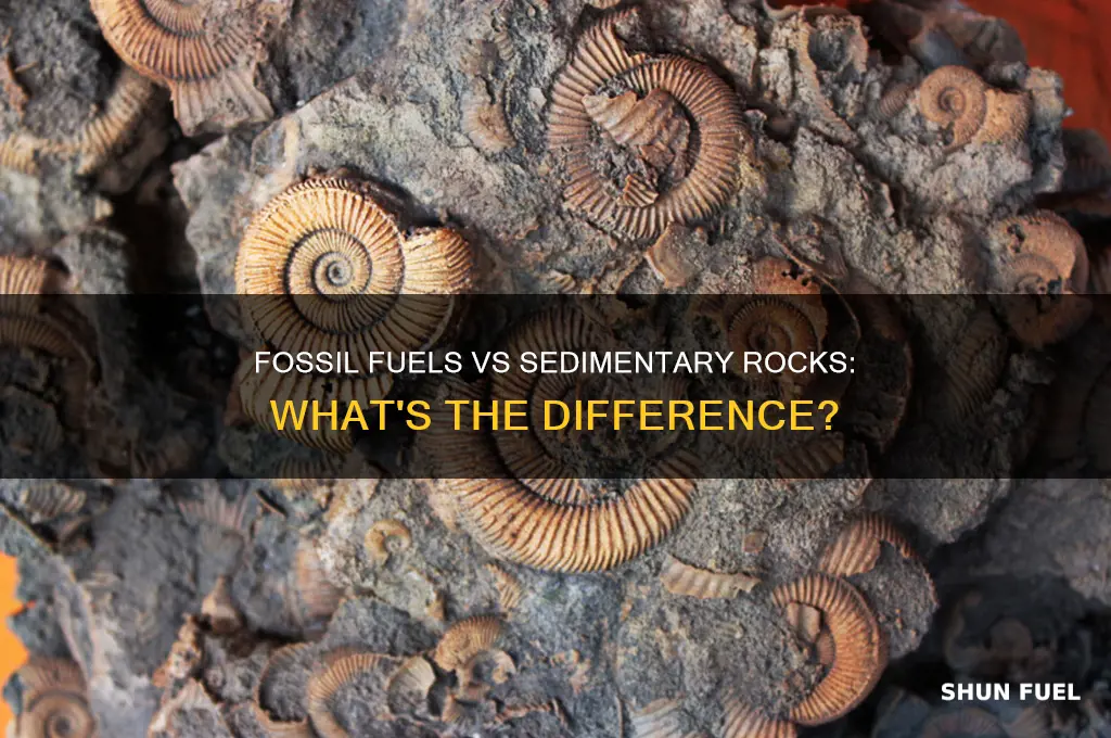 how are fossil fuels and sedimentary rocks diffferent