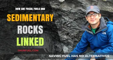 Fossil Fuels: Sedimentary Rocks' Ancient Energy Source
