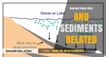Fossil Fuels: Sedimentary Stories of Ancient Life