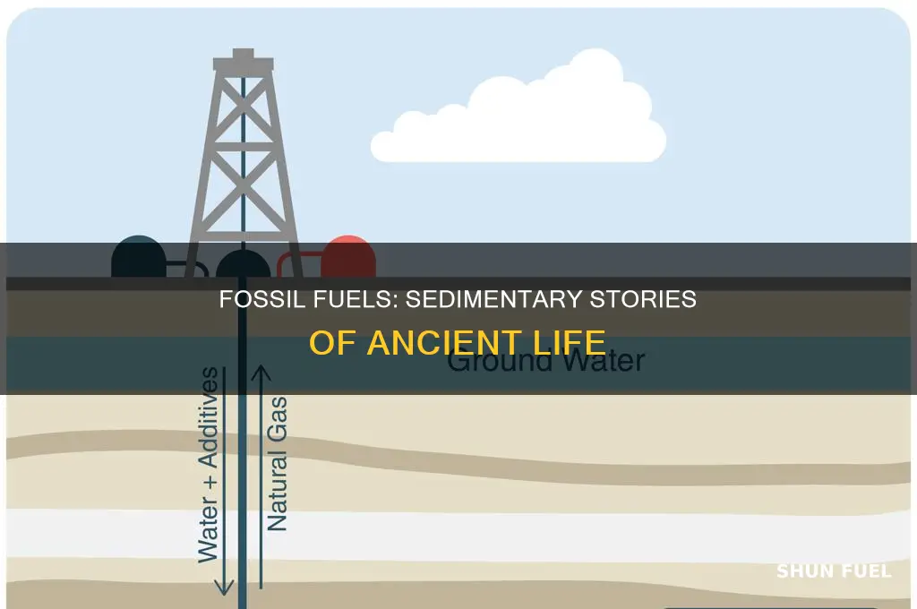 how are fossil fuels and sediments related