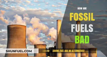 Fossil Fuels: Damaging Our Planet and Our Health
