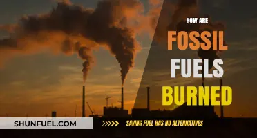 Burning Fossil Fuels: Energy's Destructive Power