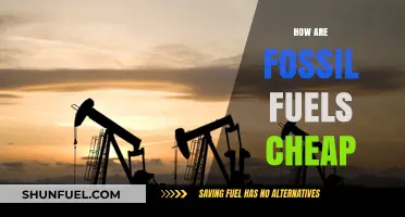 Fossil Fuels: Cheap, but at What Cost?