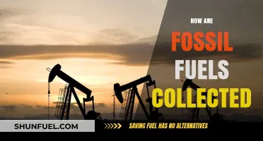 Unearthing Fossil Fuels: A Complex Collection Process
