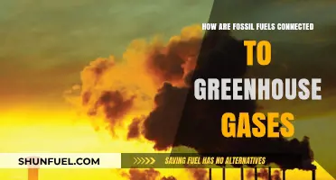 Fossil Fuels: Greenhouse Gas Emissions and Climate Change