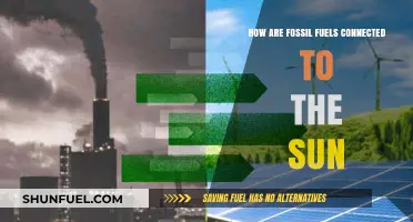 The Sun's Ancient Energy: Fossil Fuels' Origin Story