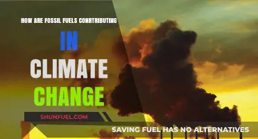 Fossil Fuels: Climate Change's Main Culprit